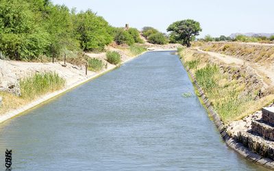 DSC0040-2-400x250